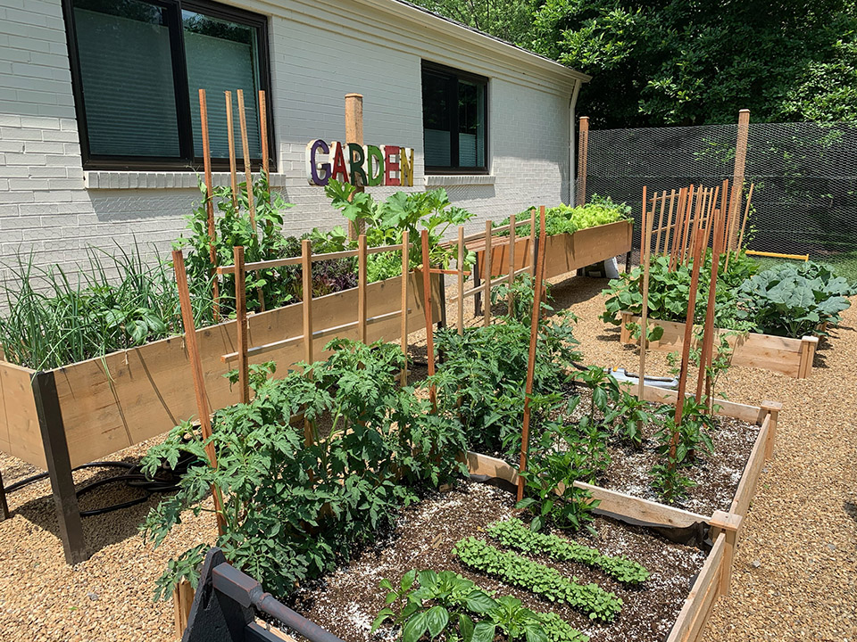 garden-web